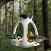 New Solar-Powered Crown Bird Feeder