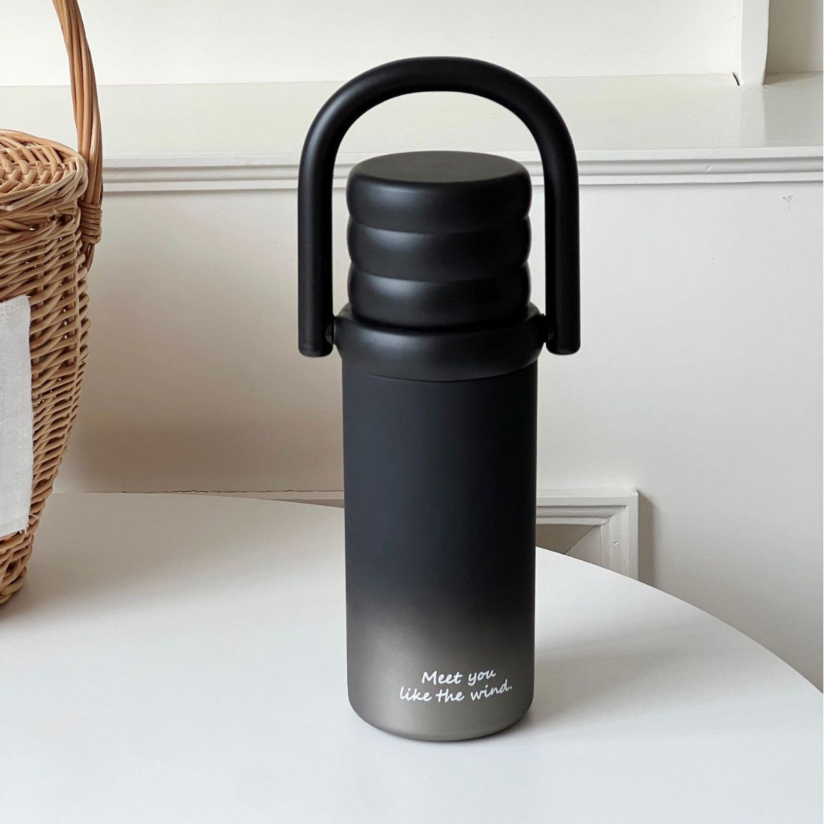 Handle 316 Stainless Steel Insulated Water Bottle